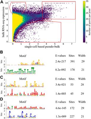 Gene representation in scRNA-seq is correlated with common motifs at the 3′ end of transcripts